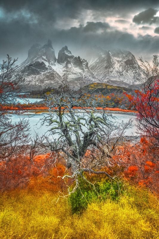 Torres del Painephoto preview