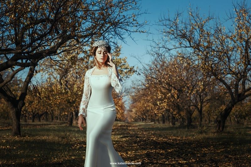 autumn, bride, dog, clouds, white, dress, surrealism Autumn Bridephoto preview