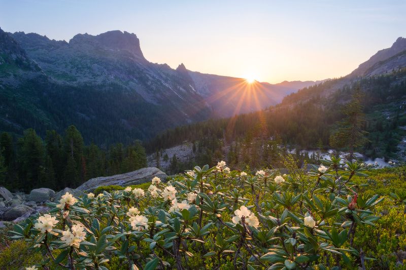 Ергаки, оз. Художников время рододендроновphoto preview