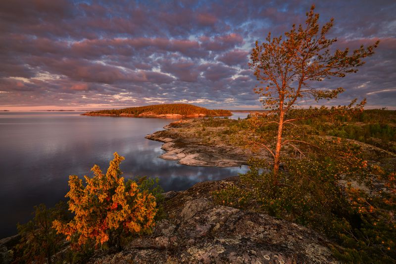 Ладога Утро на Ладоге...photo preview