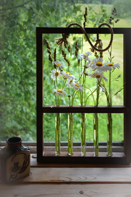 Ромашковый ноктюрнphoto preview