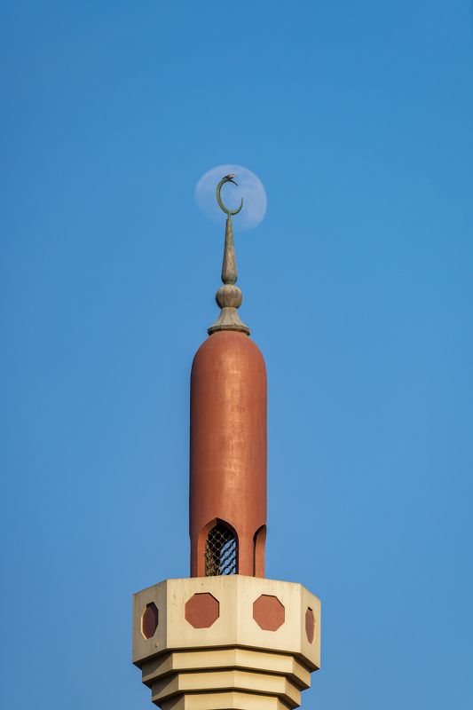 полнолуние, Абу-Даби, эмираты, мечеть, архитектура The bird seems to be keeping a watchful eye on the Moon risingphoto preview