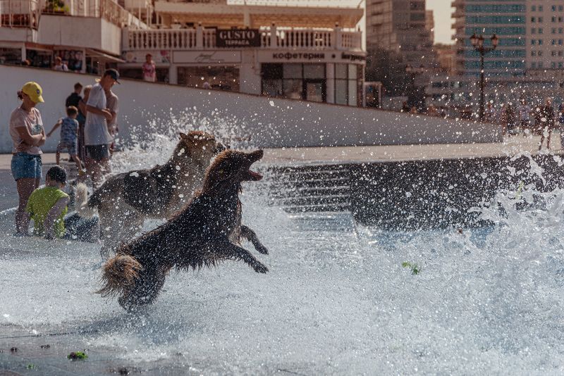 Водная феерияphoto preview