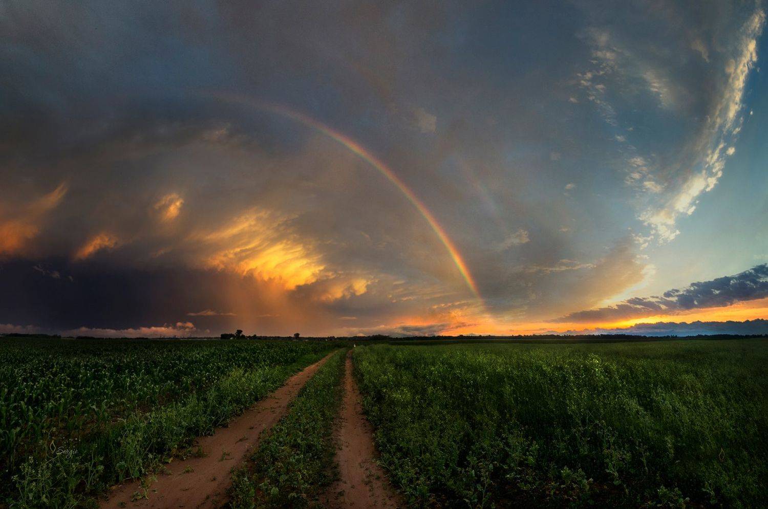 Беларусь, Серж Домбровский