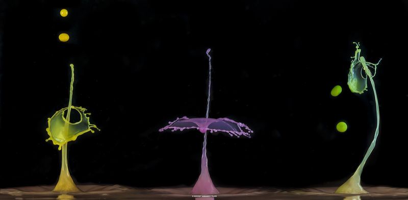 #color_image #color #drop #liqiud #macro #water #macrophoto трио фото превью