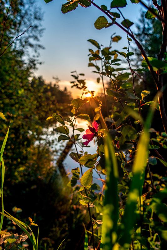 Цветностьphoto preview