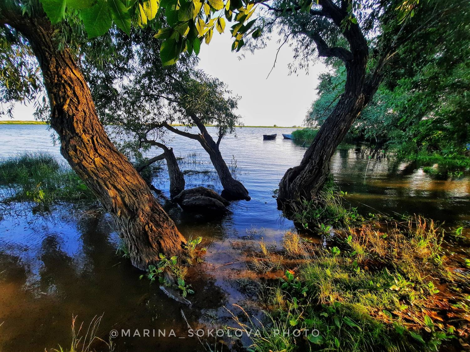 , Марина Соколова