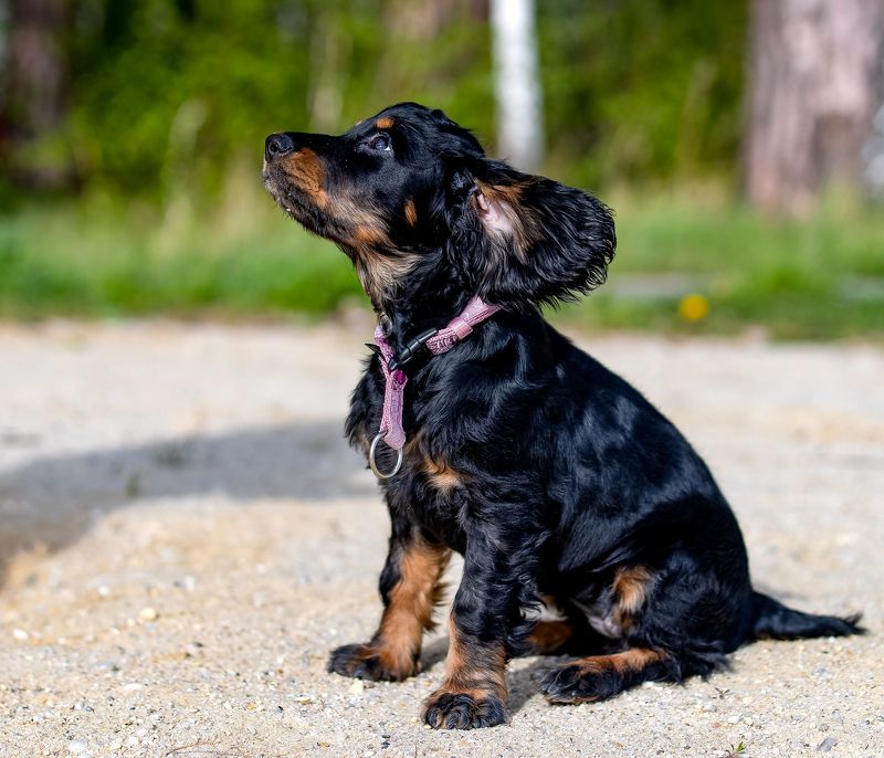 Ника Никаphoto preview