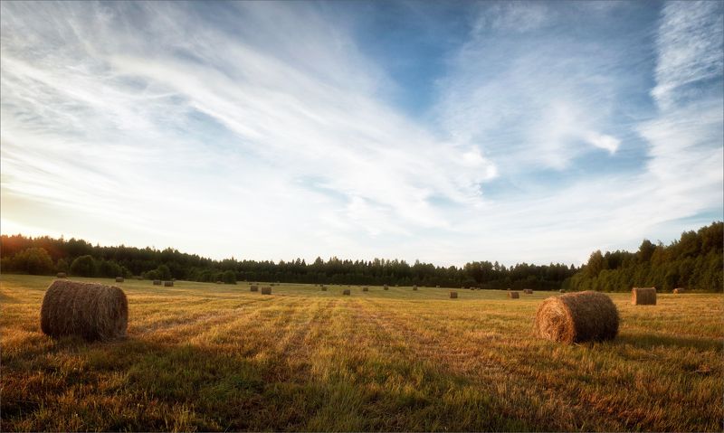 пейзаж, лето, вечер, деревня, свет, цвет, александр никитинский Летний вечер в деревне...photo preview