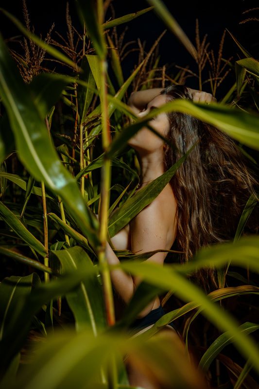 Летоphoto preview