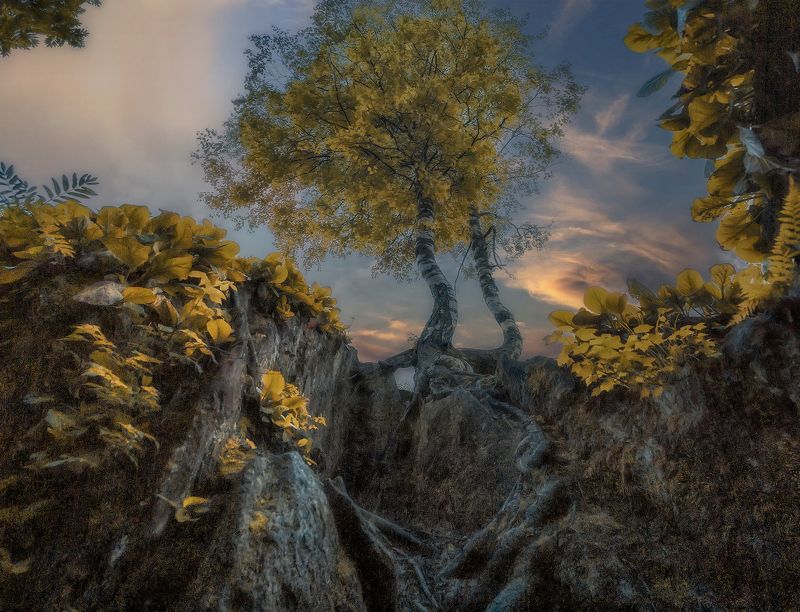 пейзаж природа закат тайга сибирь Где-то в Сибирской Таёжной Глубинкеphoto preview