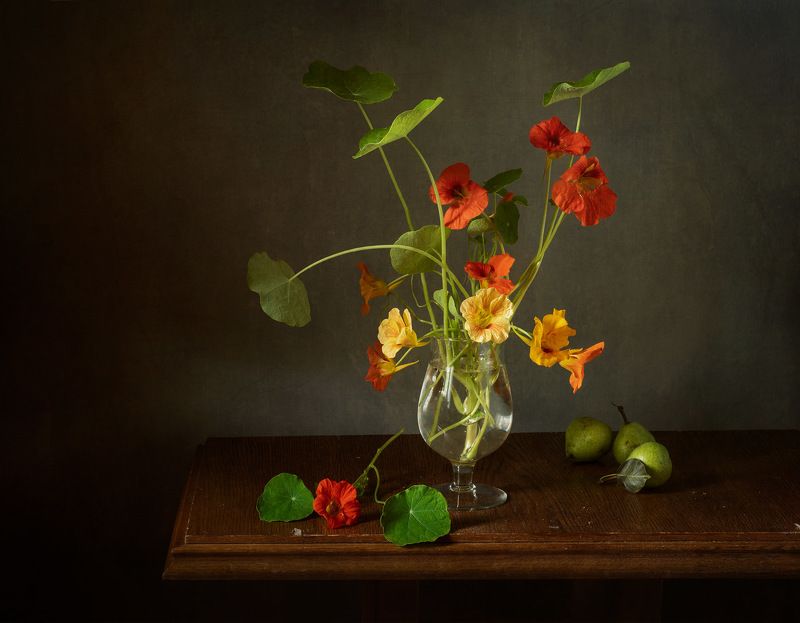 Настурцияphoto preview