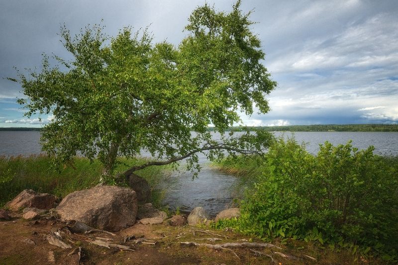 В тишинеphoto preview