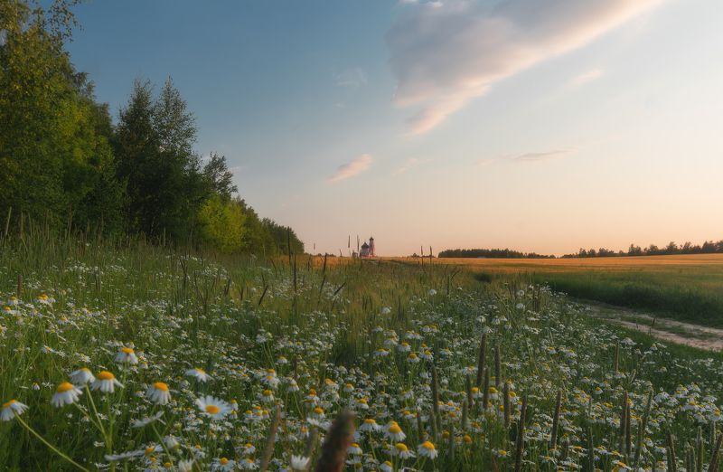 закат ромашкин photo preview