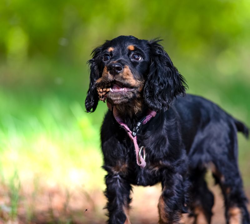 Ника Никаphoto preview