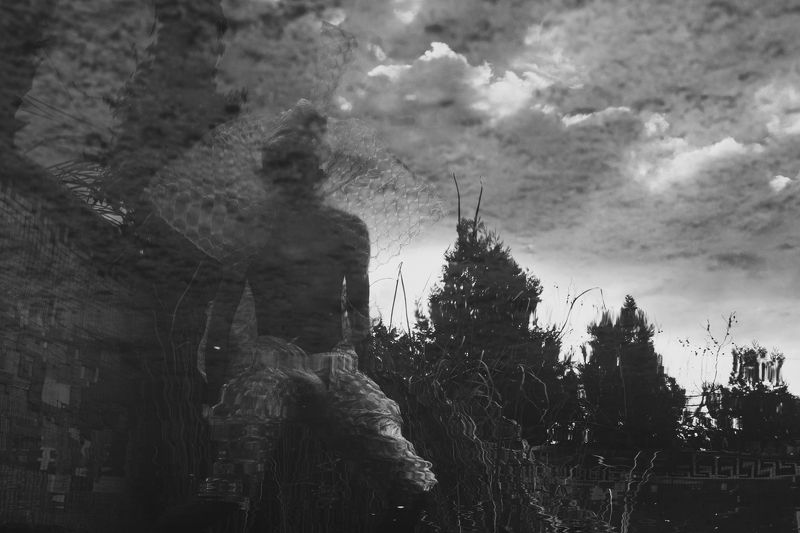 black and white photography, dramatic sky, tree silhouette, plastic clothing, surrealistic art, environmental issues, over-consumption, waste and pollution, regal attire, art gallery exhibition, thought-provoking image, environmental awareness, fast-paced Plastic Queenphoto preview