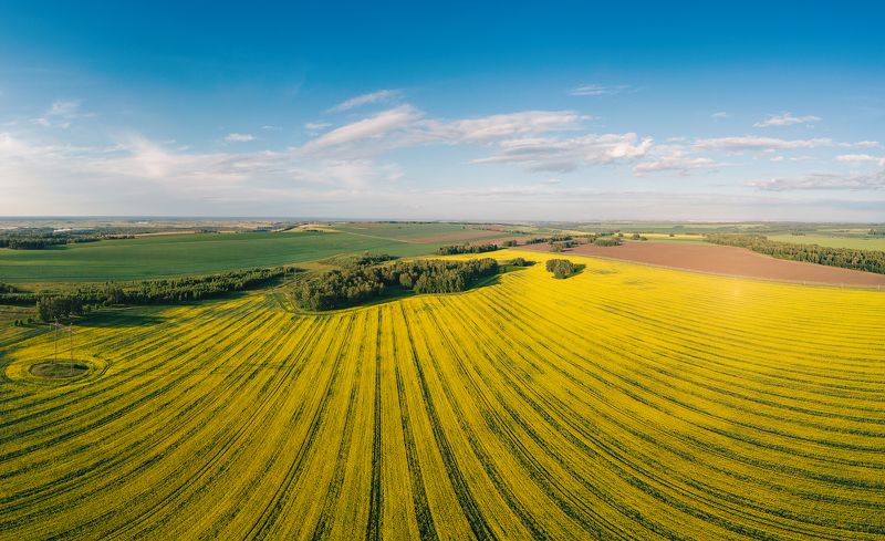 Июльphoto preview