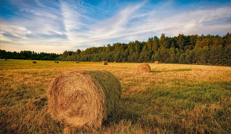 пейзаж, лето, вечер, деревня, свет, цвет, александр никитинский Сенокос...photo preview