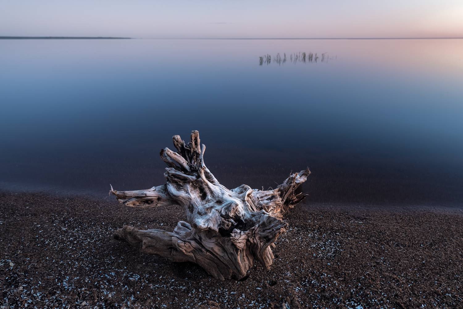 Автор: Андрей Баскевич рыбинское водохранилище, закат, Андрей Баскевич