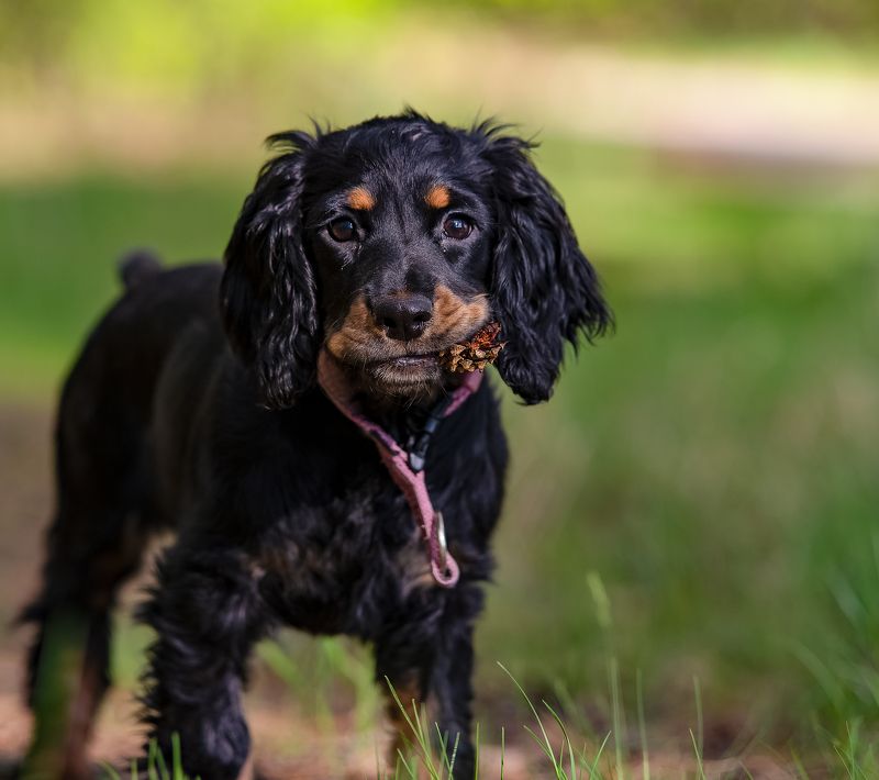 Ника Никаphoto preview