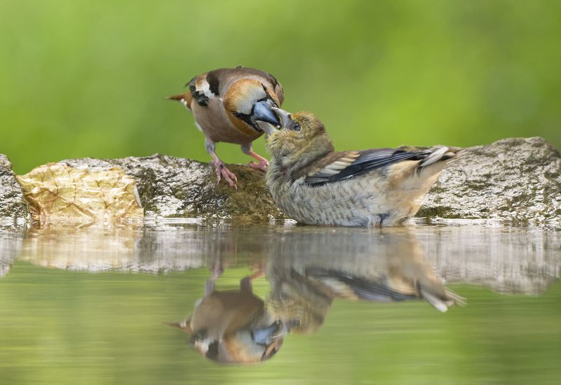 Завтракphoto preview