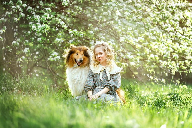 portrait, canon, портрет, детский портрет photo preview