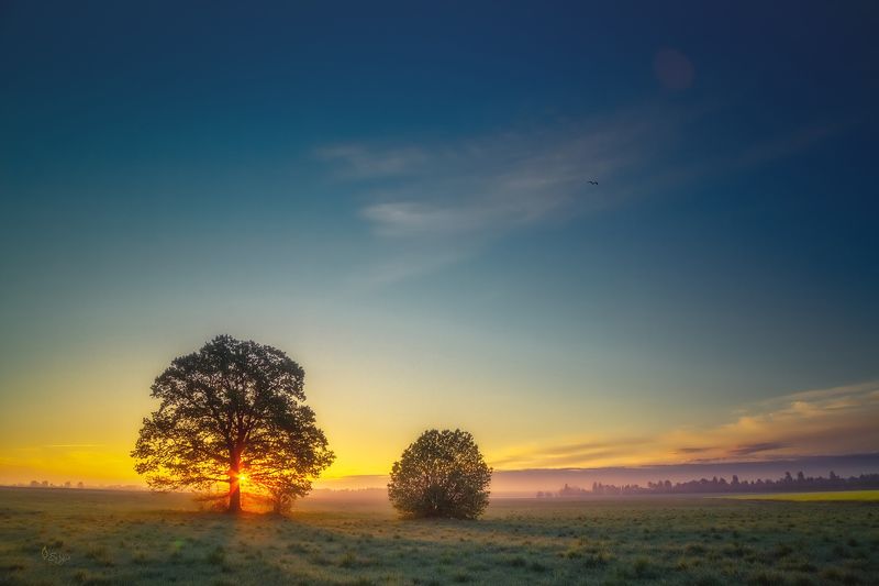 Беларусь Минимумphoto preview