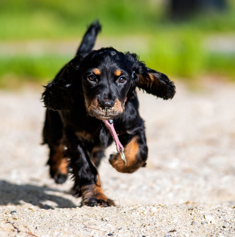 Ника Никаphoto preview