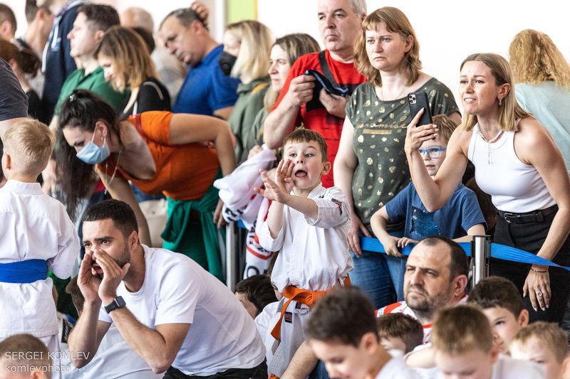 карате, киокушинкай, спорт ***photo preview