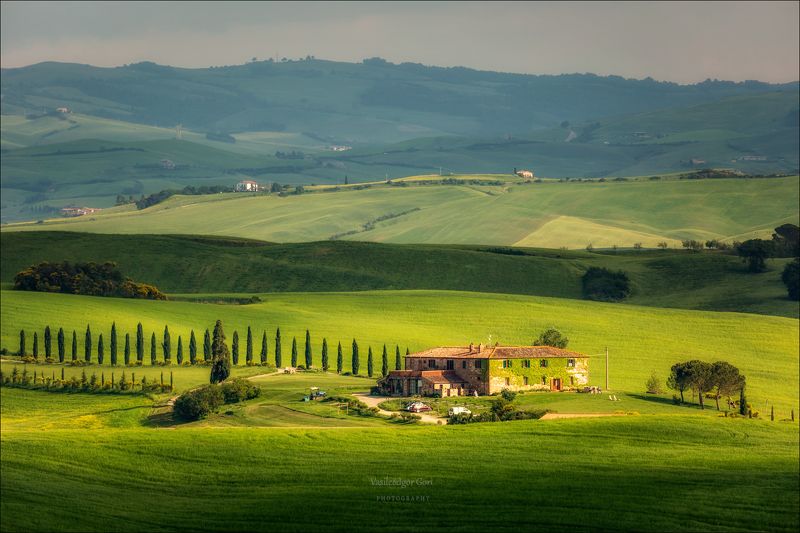 italysan quirico d\\\\\\\'orcia,italia,тоскана,pienza,кипарисы,toscana,весна,tuscany,cipressi,belvedere,пьенца, У ФАЗЕНДЫphoto preview