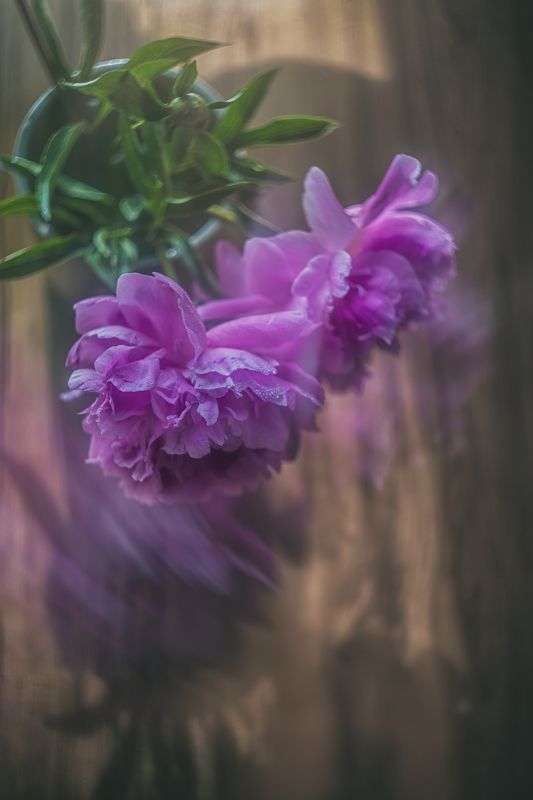 Утроphoto preview