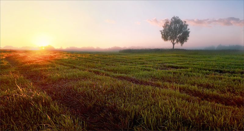 лето, утро, деревня, рассвет, пейзаж, свет, цвет, александр никитинский Утром в деревне...photo preview