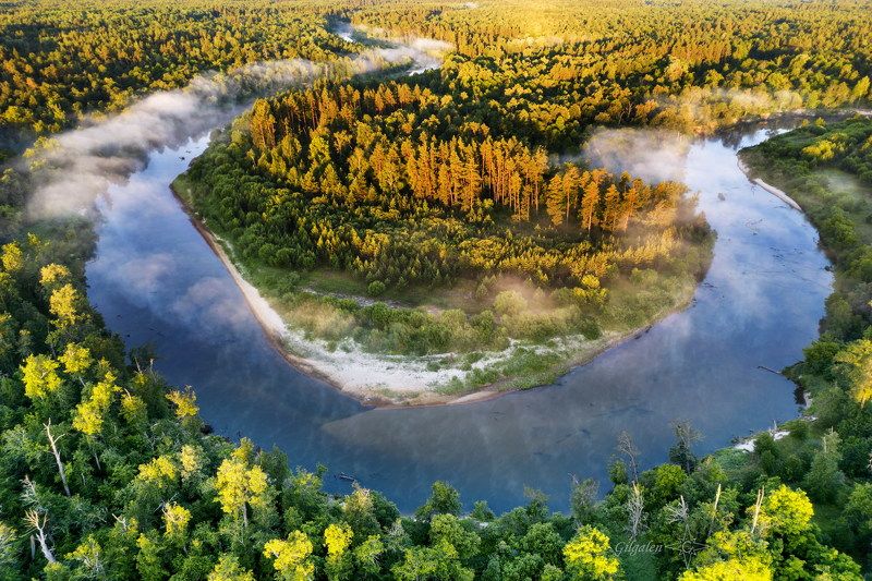 туман, рассвет, лес, река Пробуждениеphoto preview