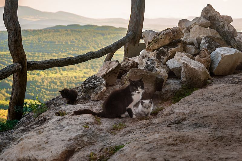 Челтер-Мармараphoto preview