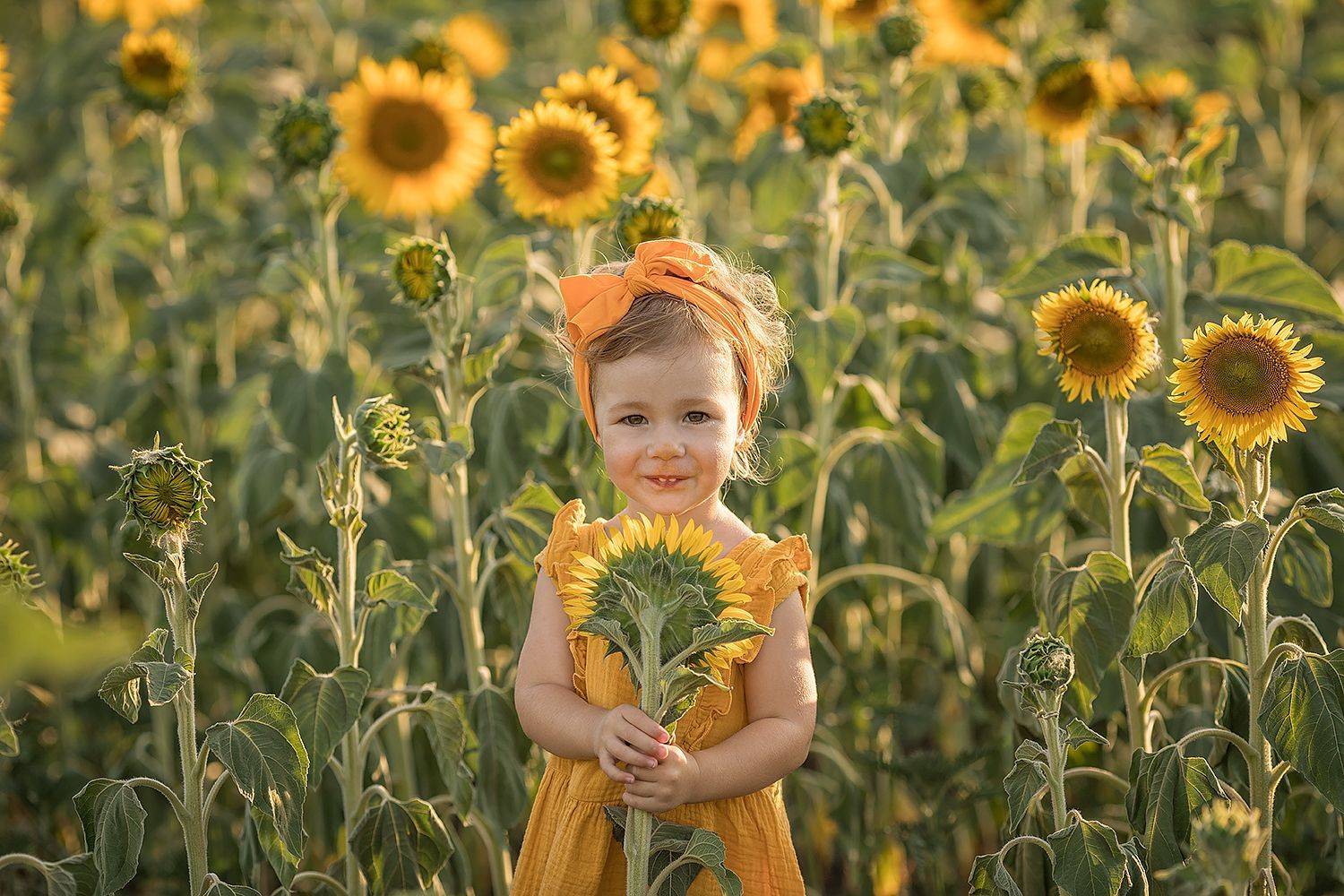 Желтое настроение. Автор: Ксения Лыгина , Ксения Лыгина