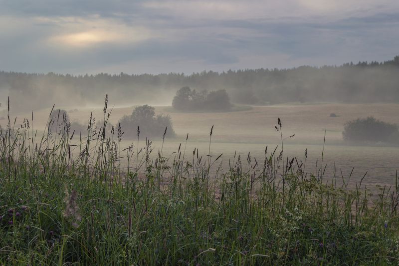 туман, поле, вечер, луг После грозыphoto preview