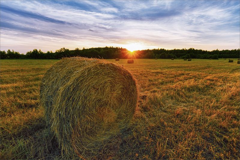 пейзаж, лето, вечер, деревня, поле, свет, цвет, александр никитинский Летний вечер в деревне...photo preview