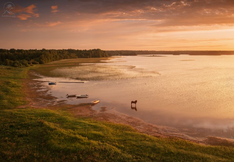 кенозерье, национальный парк, лето, фототуры по россии, русь, деревни, озеро, рассвет, конь РОКОТ фото превью