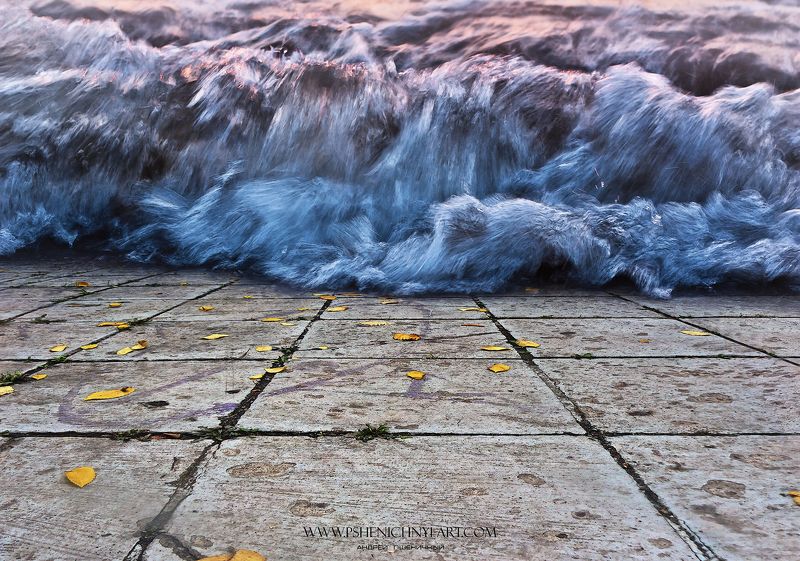 динамика, движение, волна, застывший, дорога, осень, листья Энергия волныphoto preview