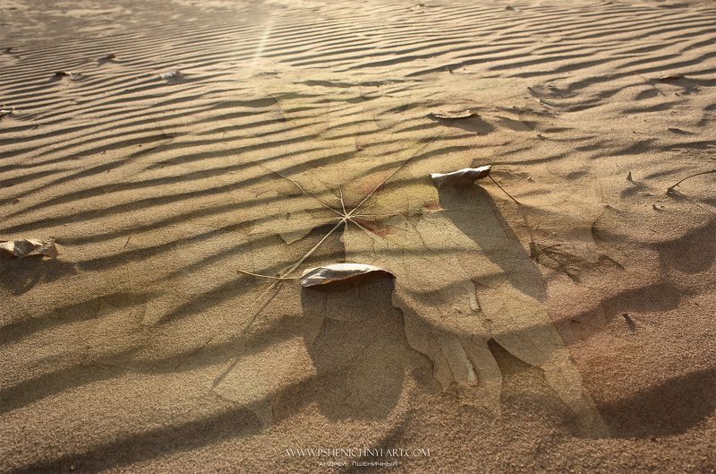 образ, кленовый лист, песок, рисунок, осень, осенние листья, солнечный свет Рисунок на песке фото превью