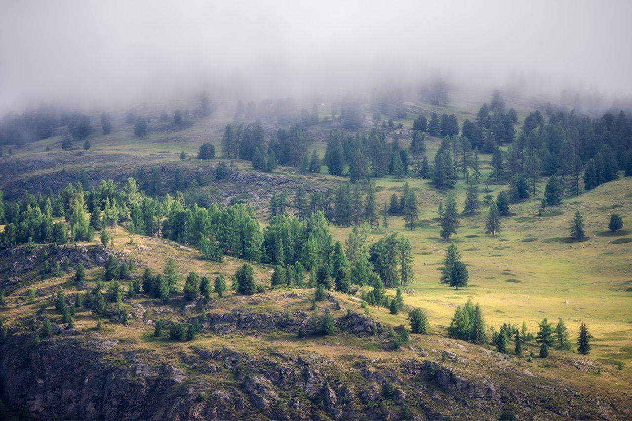 Туман над перевалом… Fog over the pass.... Автор: Евгений Важенин , Евгений Важенин