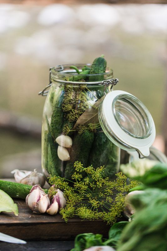 Заготовкиphoto preview