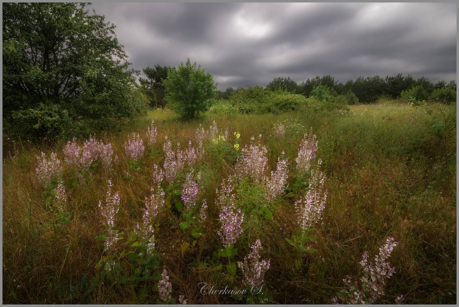, Черкасов Сергей