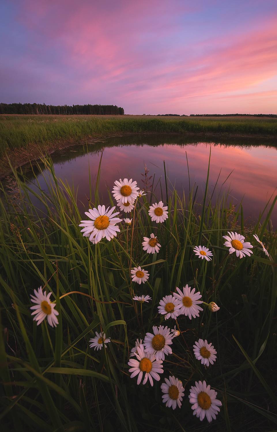 , Захаров Дмитрий