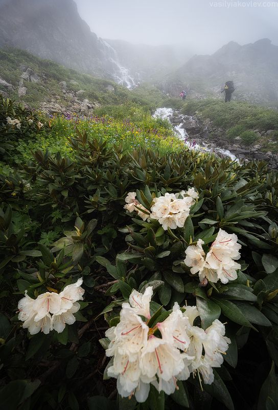 кчр, фототур, яковлевфототур, поход, загеданские, имеретинские, безмолвия, кавказ, имеретинка, загеданка, кавказ, поход На маршрутеphoto preview
