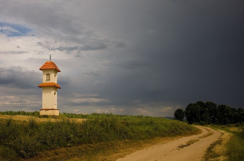 Along the roadphoto preview