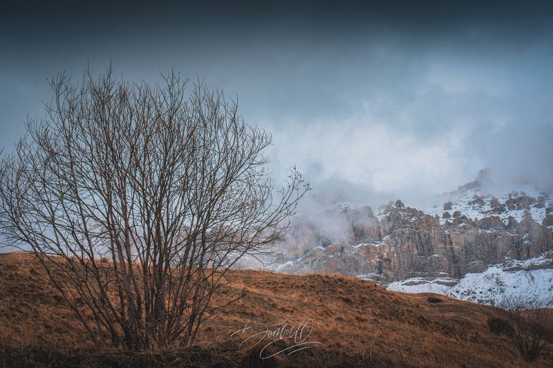 горы, зима, дерево, снег, природа, осетия, природа осетии, кавказ, россия, горы россии, осень РСО-Алания, с. Верхний Згид, февраль 2023photo preview