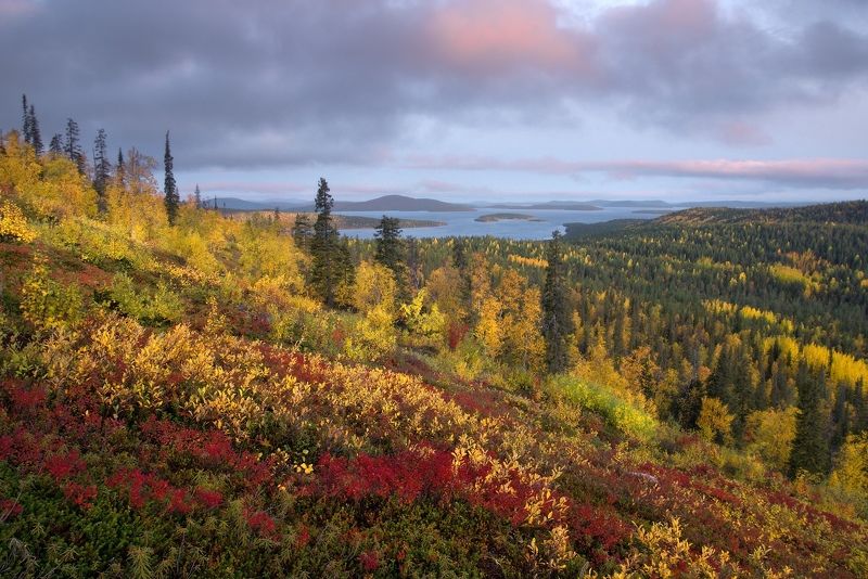 кольский, мурманская, имандра, осень, озеро Сентябрь на Имандреphoto preview