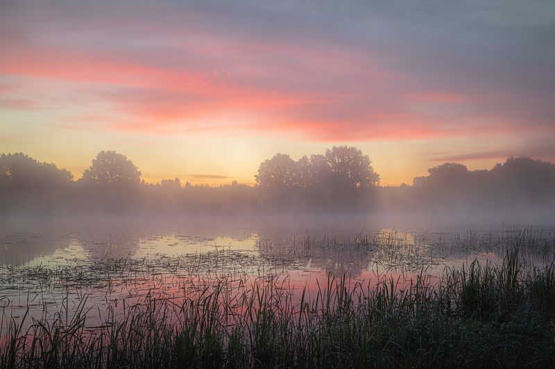 рассвет туман пойма полесье беларусь Зорька на полесье фото превью