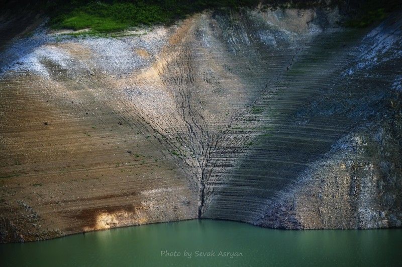 Дерево жизни,,,photo preview